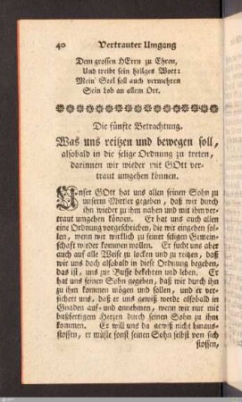Die fünfte Betrachtung.