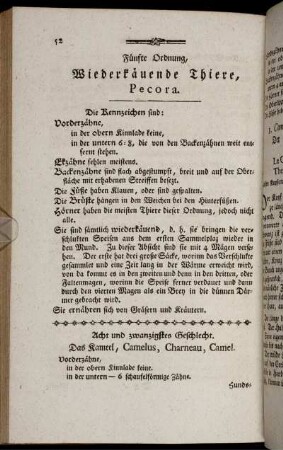 Fünfte Ordnung, Wiederkäuende Thiere, Pecora.