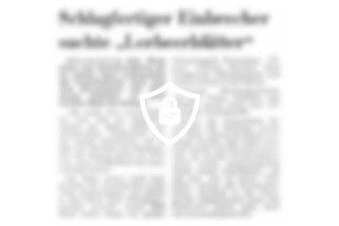 Schlagfertiger Einbrecher suchte "Lorbeerblätter"