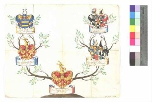 Rechberg, von (Ahnentafel)