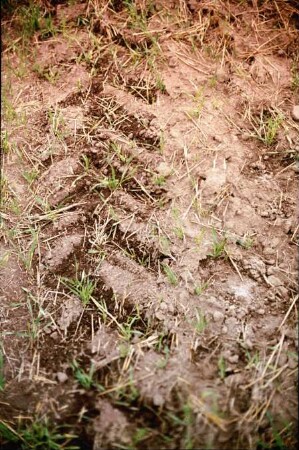 Fotografie: Antriebs- und Anbausystem, Fahrwerk, Reifen, Reifenprofil, Bodendruck