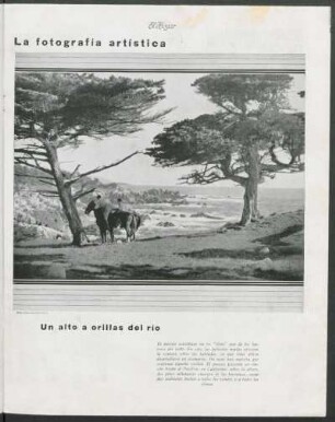 La fotografía artística - Un alto a orillas del río