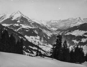 Alpine Landschaft : Schneebedeckte Berglandschaft mit Bergwald in den südwestlichen Alpen