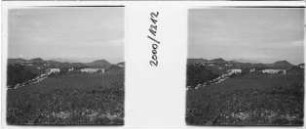 Landschaft auf Madeira