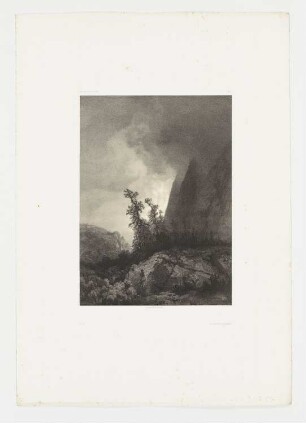 Berglandschaft mit zwei Tannen, Blatt 83 der Folge "Werke"