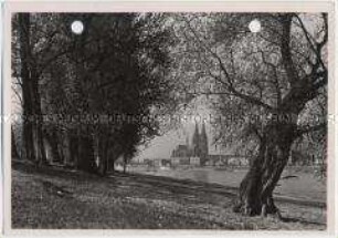 Köln, am Rhein, im Hintergrund Hohe Domkirche St. Petrus