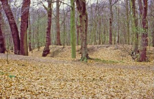 Ahrensfelde: Burg Arnesvelde