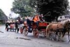 Trittau: 100 Jahre Trittauer Feuerwehr