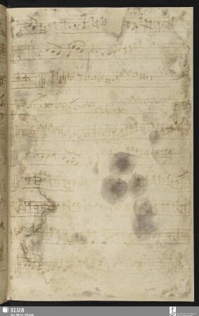 [Cesare, Giovanni Martino:] La bavara