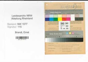 Entnazifizierung Ernst Brandt , geb. 02.01.1908 (Polizist)