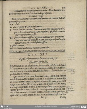 Cap. XIII. Qualia symptomata superveniant, & qualiter curanda
