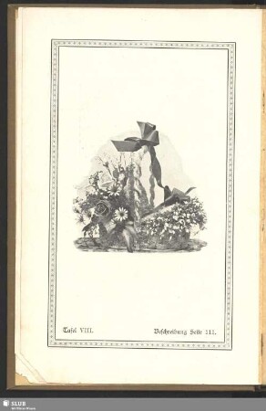 Tafel VIII : Beschreibung Seite 111