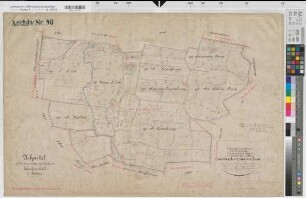 Neuenkirchen (Neuenkirchen), Rheine l.d.Ems (Rheine), Zusammenlegung Catenhorn, Urkarte I Rheine l.d.Ems Flur 17 Katenhörner Esch