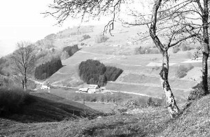 Blick von Fröhnd auf die B 317