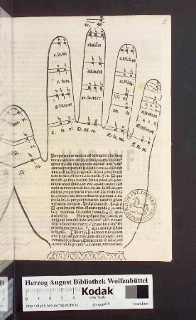 Proprietas in musica est deriuatio plurinm [!]vocum abvno eode[m]q[ue] principio ...