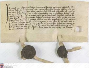 Nidda (Johanniter): Die Edelknechte Kraft von Olphe und Johann Swob versichern eidlich, dass Graf Engelbrecht v. Ziegenhain, genannt von Nidda, be...