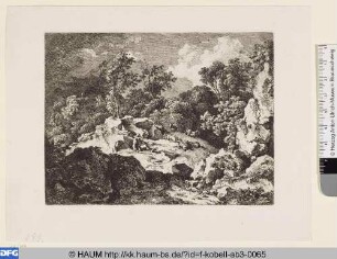 Ziegen- und Schafherde in Felsenlandschaft
