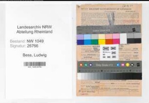 Entnazifizierung Ludwig Bess , geb. 05.04.1891 (Prokurist)