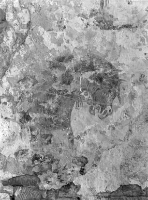 Fragment eines Pferdes