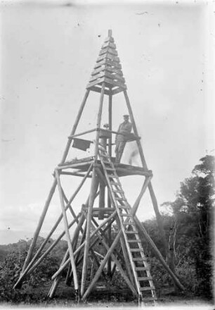 "Trigonometrisches Signal (Gansser auf Plattform ohne Schirm)"