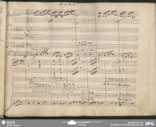 Quartetto: "Che cos'è che imbroglio è questo"