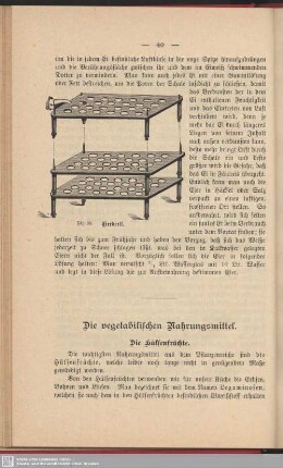 Die vegetabilischen Nahrungsmittel