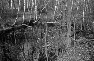 Briese bei Birkenwerder