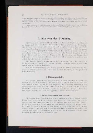 I. Muskeln des Stammes.