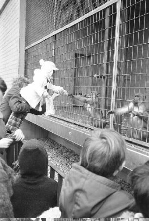 Besuch bei den Affen im Karlsruher Zoo