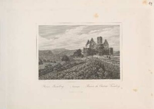 Ruine Trimberg.