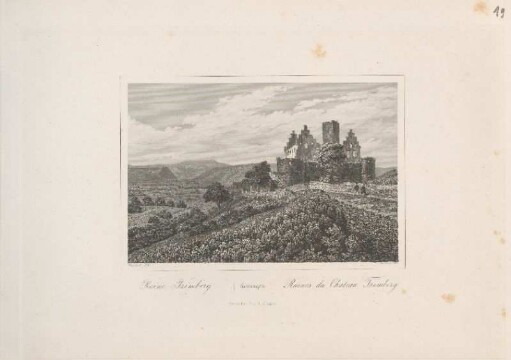 Ruine Trimberg.