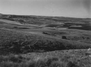 Ebene Landschaft : Blick über eine offene, weitestgehend ebene Landschaft im südafrikanischen Tafelland