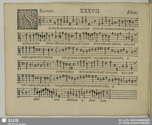 XXXVII. Sancta et immaculata