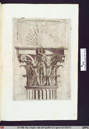 Capitello de'le colonne grandi del passato tempio