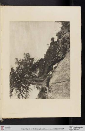 [Annie W. Brigman, III. Dryads, photogravure from original negative made by the Manhattan Photogravure Company, New York]