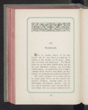 XII. Berufswahl.