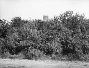 Liebertwolkwitz. Kolmberg-Denkmal (zur Erinnerung an die Schlacht am 16.10.1813 zwischen Klenau und Macdonald), Sandstein, 1856