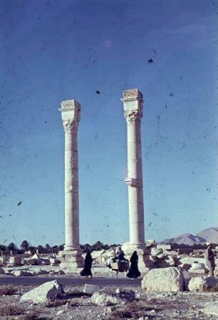 Palmyra Säulen nahe Triumphbogen