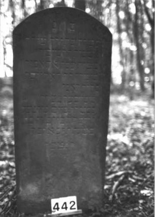 Grabstein 442 (Index: 99898218) Material: Sandstein Zustand: stellenweise angewittert Maße HxBxT: 125x55x8 cm Beschreibung: Stele mit Segmentbogenabschluss: Grabstein 442