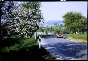 Zunzingen: Badische Weinstraße in Blüten