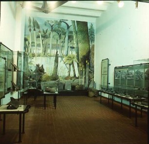 Oelsnitz, Pflockenstraße. Bergbaumuseum. Raumaufnahme mit Ausstellungsvitrinen zur Geologie