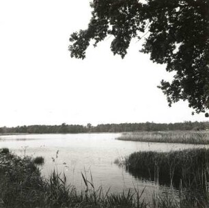 Niederlausitz. Hammerstrom und Teichgebiet bei Willmersdorf-Lakoma. Ansicht von Südosten