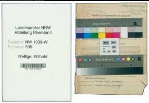 Entnazifizierung Wilhelm Wellige , geb. 22.05.1885 (Oberregierungsrat)