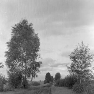 Landschaftsbild. Märkische Landschaft. : Wobraz krajiny. Markowska krajina.