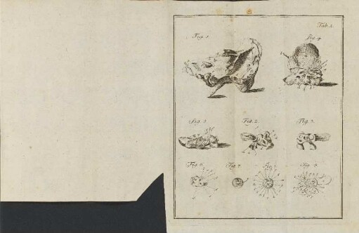 Illustration: Kupferstich. Tab. 1.