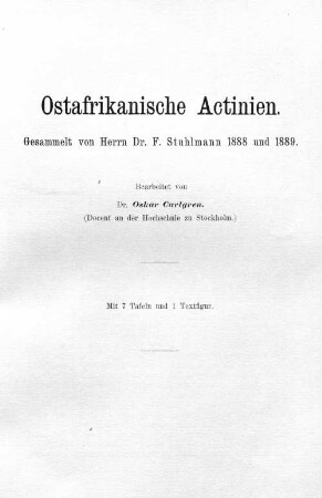 Ostafrikanische Actinien.