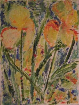 Tulpen verblüht