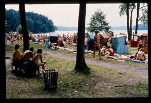 Stechlin-See 18.8.80.