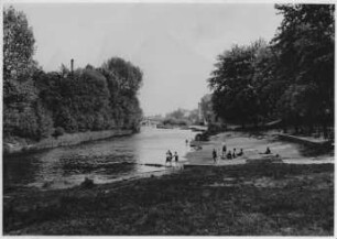 Ems Stadtgebiet Rheine, Uferschutz durch Schilfrohr