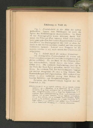 Tab. 29.